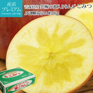 yGg?Ń|Cg10{z  ɂ̖ ݂ 2kg 7`13 XY Yn S ь 胊S R~c  t[c ʕ Mtg  v[g j 