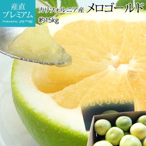 yGg?Ń|Cg10{z S[h 15kg 18`40 JtHjAY AJ O[vt[c ߂낲[ k  t[c ʕ Mtg  v[g j TC