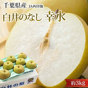 �Ȃ� ����̗� �K�� ��3kg 7�`10�� ��t���Y �Y�n���� �� �i�V ���낢�̗� ����̂Ȃ� ������ �t���[�c �ʕ� �M�t�g ���� �v���[���g ���j�� �o�Y�j�� �c�������� �Y���v���~�A��