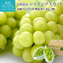 ぶどう シャインマスカット 秀品 約1.2kg 2房 露地栽培 産地直送 ブドウ 葡萄 マスカット お取り寄せ フルーツ 果物 ギフト 贈答 プレゼント 内祝い 産直プレミアム