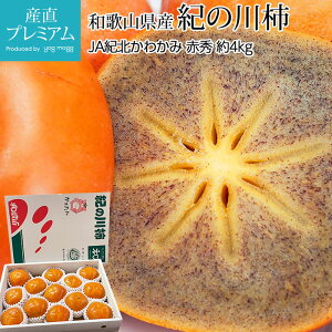 y}\XSiP2{z ` I̐` ԏG 4kg 12`15 a̎RY Yn  JL t[c ʕ Mtg  v[g j oYj Yv~A