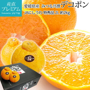 yGg?Ń|Cg10{z fR| Gi 2kg 2LTCY 8 QY  x14xȏ Yn ݂ ~J  k łۂ  t[c ʕ Mtg  v[g 