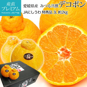 fR| Gi 2kg 3LTCY 7 QY  x14xȏ Yn ݂ ~J  k łۂ  t[c ʕ Mtg  v[g j x12xȏ TCY 