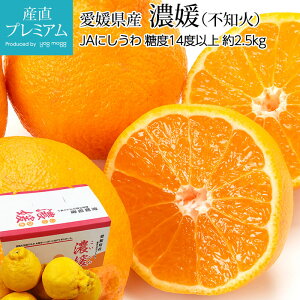 yGg?Ń|Cg10{z ZQ sm ʂ x14xȏ 2.5kg 7`11 QY VkC ݂ ~J  k  t[c ʕ Mtg  v[g x12xȏ 