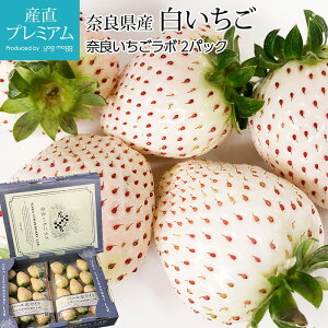 yGg?Ń|Cg10{z  p[zCg ^P 2pbN ޗǌY Yn C`S  񂶂Ђ Xgx[  C`S  t[c ʕ Mtg  v