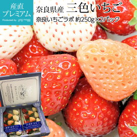 【マラソン限定最大P26倍】 いちご 三色いちご（パールホワイト・淡雪・古都華） 250g×2パック 奈良県産 産地直送【イチゴ 苺 ストロベリー 白いちご 白イチゴ お取り寄せ 食べ比べ フルーツ 果物 ギフト 贈答 プレゼント 内祝い】【産直プレミアム】