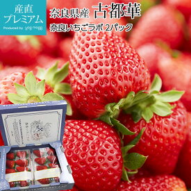 【エントリ—でポイント10倍】 いちご 古都華 2パック 奈良県産 産地直送 ことか コトカ イチゴ 苺 ストロベリー お取り寄せ フルーツ 果物 ギフト 贈答 プレゼント 内祝い 産直プレミアム