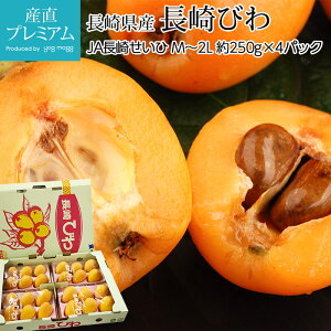 びわ びわの人気商品 通販 価格比較 価格 Com びわ びわの人気商品 通販 価格比較 価格 Com