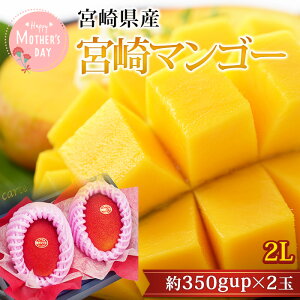 �y��̓� �M�t�g�z ���n�{��}���S�[ 2L�T�C�Y 2�� �{�茧�Y �}���S�[ �܂񂲁[ ������ �t���[�c �ʕ� ��̓� �M�t�g ���� �v���[���g �X�C�[�c �Y���v���~�A��