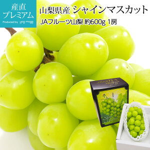Ԃǂ VC}XJbg 600g 1[ RY In͔| Yn uhE  }XJbg Ⴂ܂  t[c ʕ Mtg  v[g j oYj Yv~