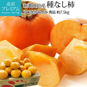 y9/4 20:00`P2{z ` 햳` Gi 7.5kg 32`40 a̎RY Yn ˂Ȃ` Ȃ`  JL t[c ʕ Mtg  v[g j oYj Yv~A