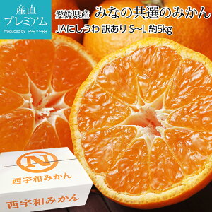 y10/24 20:00`P2{z ݂ ݂Ȃ̋Î݂ 󂠂 5kg S`LTCY 40`60 QY Yn  ~J  t[c ʕ ƒp TCY Yv~A