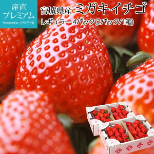 yGg?Ń|Cg10{z  ~KLC`S M[ 4pbN {錧Y Yn C`S  Xgx[  t[c ʕ Mtg ƒp v[g j Yv~A