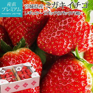 yGg?Ń|Cg10{z  ~KLC`S M[ 2pbN {錧Y Yn C`S  Xgx[  t[c ʕ Mtg ƒp v[g j Yv~A