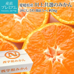 みかん 川上共選のみかん 良品 約5kg S〜Lサイズ 40〜60個 愛媛県産 産地直送 ミカン 蜜柑 お取り寄せ フルーツ 果物 ギフト 贈答 プレゼント 内祝い 箱サイズ 産直プレミアム