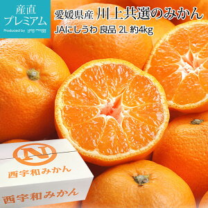 yGg?Ń|Cg10{z ݂ ㋤Î݂ Ǖi 4kg 2LTCY 25`35 QY Yn ~J   t[c ʕ Mtg  v[g j TCY Yv