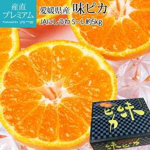 yGg?Ń|Cg10{z ݂ sJ ㋤Î݂ 5kg S`LTCY 40`60 QY Yn ~J   t[c ʕ Mtg  v[g j TCY Y