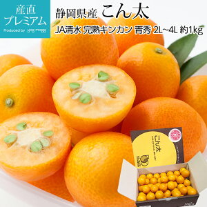 yGg?Ń|Cg10{z  n񂩂  G 1kg 2L`4LTCY ÉY LJ  k  t[c ʕ Mtg  v[g TCY Yv~A