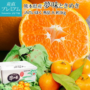 yGg?Ń|Cg10{z ݂ z~܊|݂  Gi 3kg TCY 35 F{Y ݂ ~J  k  t[c ʕ Mtg v[g  v[g 