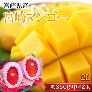 �}���S�[ ���n�{��}���S�[ 2L�T�C�Y 2�� �{�茧�Y �܂񂲁[ 䊉� ������ �t���[�c �ʕ� �M�t�g ���� �v���[���g �Y���v���~�A��