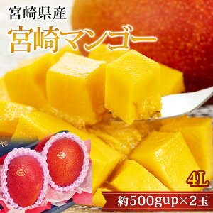 �}���S�[ ���n�{��}���S�[ 4L�T�C�Y 2�� �{�茧�Y �܂񂲁[ 䊉� ������ �t���[�c �ʕ� �M�t�g ���� �v���[���g �Y���v���~�A��