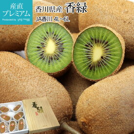 【エントリ—でポイント10倍】 キウイ 香緑 4L〜6Lサイズ 7〜9玉 香川県産 産地直送 キウイフルーツ きういふるーつ きうい ぐりーんきうい 果物 フルーツ ギフト 贈答 プレゼント 産直プレミアム