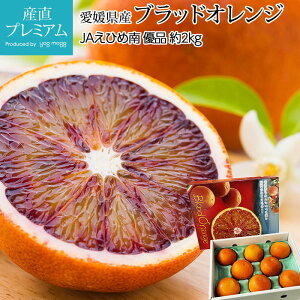 yGg?Ń|Cg10{z IW ubhIW Di 2kg 8`10 QY Yn  ~J ݂ k   t[c ʕ Mtg  v[g j 