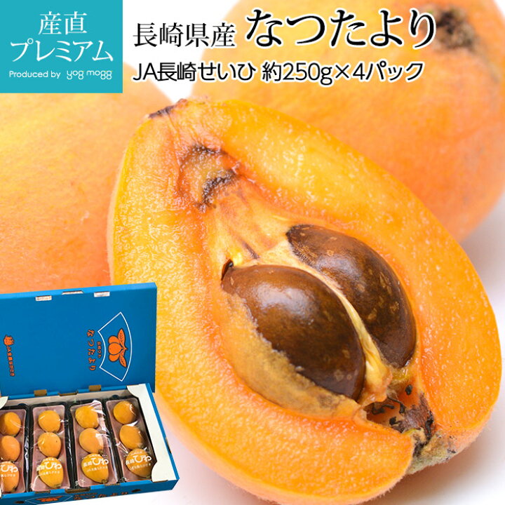 楽天市場 びわ なつたより 長崎びわ 約250g 4パック 12 16粒 露地栽培 長崎県産 Ja長崎せいひ 送料無料 枇杷 ビワ 長崎枇杷 長崎ビワ お取り寄せ フルーツ 果物 ギフト 贈答用 プレゼント 内祝い 産直プレミアム 産直プレミアム