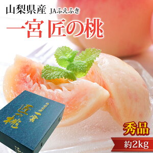 �y�G���g���[��P10�{�z�� ��{ ���̓� �G�i ��2kg 5�`8�� �R�����Y �Y�n���� ���� ���� ���̂��� �R�� ������ �t���[�c �ʕ� �M�t�g ���� �v���[���g ���j�� �o�Y�j�� �Y���v���~�A��