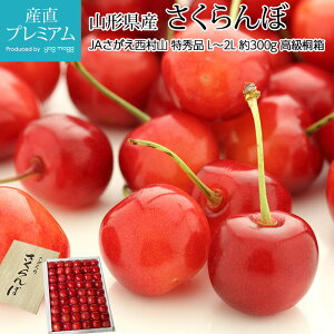 さくらんぼ 箱の人気商品 通販 価格比較 価格 Com さくらんぼ 箱の人気商品 通販 価格比較 価格 Com