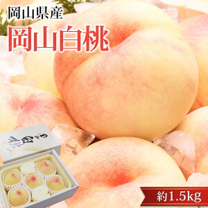 �� ���R���� ��1.5kg 5�`6�� ���R���Y ���� ���� �s�[�` �ҁ[�� �͂��Ƃ� ���� ������ �t���[�c �ʕ� �M�t�g ���� �v���[���g ���j�� �Y���v���~�A��