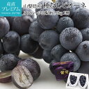【マラソン期間限定P2倍】 ぶどう ピオーネ 種なし 約1.2kg 2房 露地栽培 山梨県産 産地直送 ぴおーね ニューピオーネ 種無し 葡萄 ブドウ フルーツ ギフト 贈答 プレゼント 内祝い 出産祝い 産直プレミアム