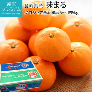 高糖度 みかん フルーツの人気商品 通販 価格比較 価格 Com