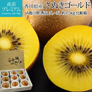 キウイ さぬきゴールド 秀品 約1.3kg 3L〜5Lサイズ 7〜9玉 香川県産 産地直送 キウイフルーツ きういふるーつ ゴールドキウイ さぬきごーるど きうい ごーるどきうい 果物 フルーツ ギフト 贈答