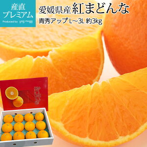 みかん 紅まどんな 3lの人気商品・通販・価格比較 - 価格.com