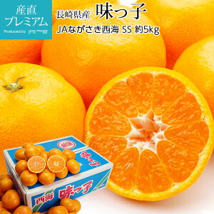 みかん 味っ子みかん 約5kg SSサイズ 70〜80個 小玉 小粒 糖度13度以上 長崎県産 蜜柑 ミカン 糖度12度以上 味っ子 西海 お取り寄せ フルーツ 果物 ギフト 贈答 プレゼント 内祝い 箱サイズ 産直