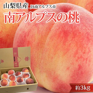 �y�G���g���[��P10�{�z�� ��A���v�X�̓� ��3kg 9�`12�� �R�����Y ���� ���� �R�� ��A���v�X ������ �t���[�c �ʕ� �M�t�g �ƒ�p �v���[���g ���j�� �o�Y�j�� �Y���v���~�A��