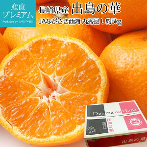 ݂ ỏ ۏGi 5kg LTCY 40 x14xȏ 茧Y  ~J x12xȏ C  t[c ʕ Mtg  v[g j TCY Yv~A