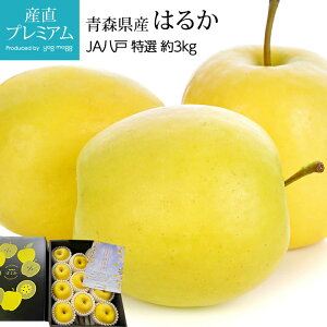 y}\XSiP2{z  ͂邩 I 3kg 8`12 XY Yn ь S Abv  t[c ʕ Mtg  v[g j TCY  Yv