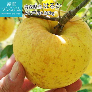y}\XSiP2{z  ͂邩 GA 3kg 8`12 XY Yn ь S Abv  t[c ʕ Mtg ƒp v[g j TCY  Y