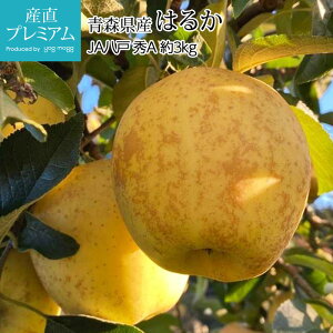 y}\XSiP2{z  ͂邩 GA 3kg 13 XY Yn ь S Abv  t[c ʕ Mtg ƒp v[g j TCY  Yv