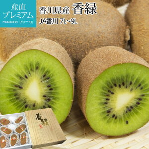 LEC  7L`9LTCY 5`6 쌧Y Yn LECt[c ӂ[  [񂫂 ʕ t[c Mtg  v[g Yv~A