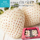 【マラソン限定エントリーでP10倍】 いちご 白い宝石 2パック 白いちご 佐賀県産 産地直送 イチゴ 苺 白イチゴ ストロベリー お取り寄せ フルーツ 果物 ギフト 贈答 プレゼント 内祝い 産直プレミアム