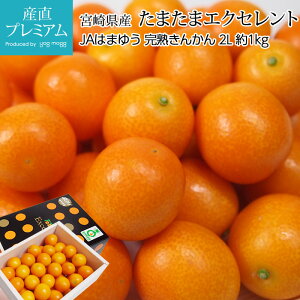 yGg?Ń|Cg10{z ܂܃GNZg n񂩂 1kg 2LTCY {茧Y {茧F  LJ  k  t[c ʕ Mtg  v[g j 