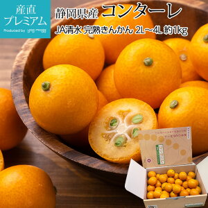 yGg?Ń|Cg10{z n񂩂 R^[ 񑾃v~A 1kg 2L`4LTCY ÉY  LJ  k  t[c ʕ Mtg  v[g x12x