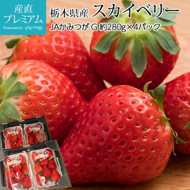 【エントリ—でポイント10倍】 いちご スカイベリー G 4パック 栃木県産 イチゴ 苺 ストロベリー お取り寄せ フルーツ 果物 ギフト 贈答 プレゼント 内祝い のし 産直プレミアム