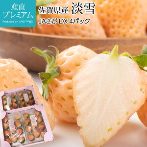 yGg?Ń|Cg10{z  W DX 4pbN  ꌧY 䂫 C`S  C`S Xgx[  t[c ʕ Mtg  v[g j Yv~A