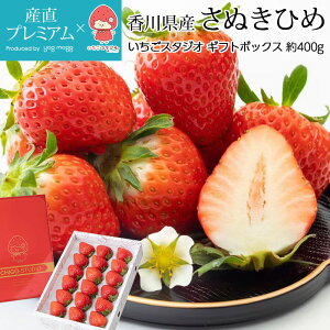 yGg?Ń|Cg10{z  ʂЂ Mtg{bNX 400g 쌧Y Yn TkLq ʂP TkLP C`S  Xgx[  t[c ʕ Mtg  v