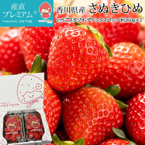  ʂЂ fbNXpbN 520g 2pbN 쌧Y Yn TkLq ʂP TkLP C`S  Xgx[  t[c ʕ Mtg  v[g j Y