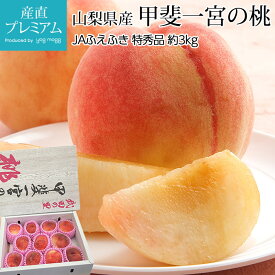 【スーパーセール限定最大P28倍】 桃 甲斐一宮の桃 特秀品 約3kg 9～12玉 山梨県産 産地直送【もも モモ 山梨 お取り寄せ フルーツ 果物 ギフト 贈答 プレゼント 内祝い 出産祝い】【産直プレミアム】